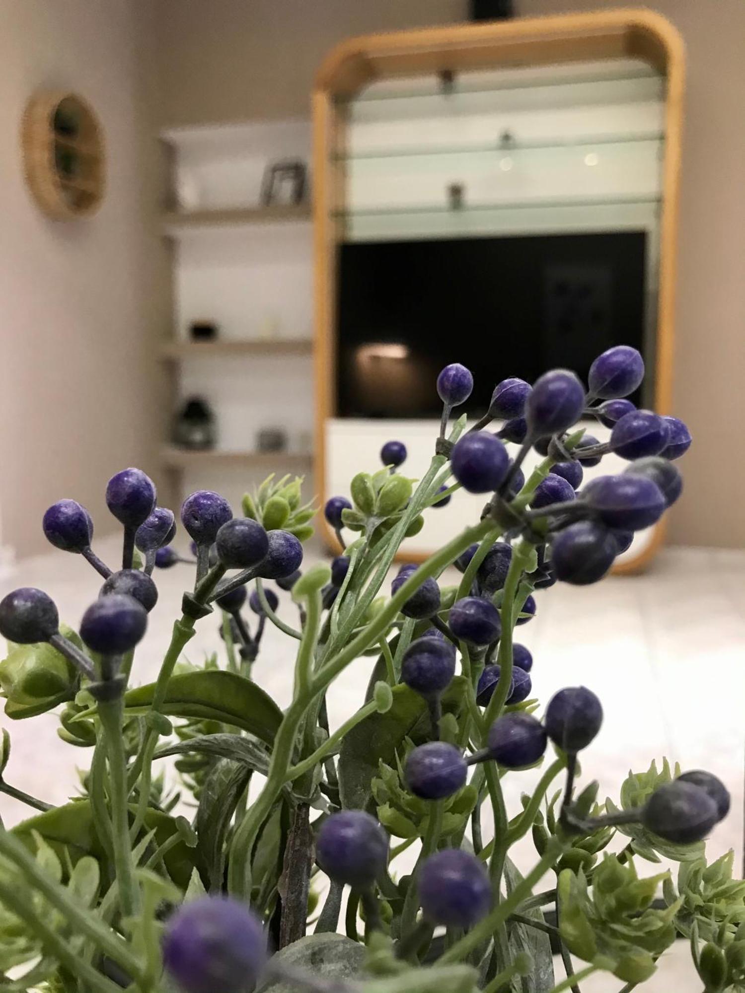 شقة Avli House كاندية المظهر الخارجي الصورة